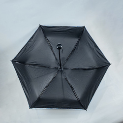 Mini Compact Umbrella