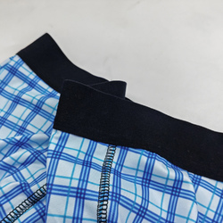 Men's All-Over Print Boxer Briefs (Model L10)