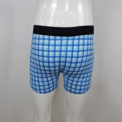 Men's All-Over Print Boxer Briefs (Model L10)