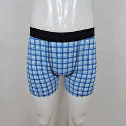 Men's All-Over Print Boxer Briefs (Model L10)