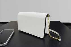 Mini Chain Crossbody Bag