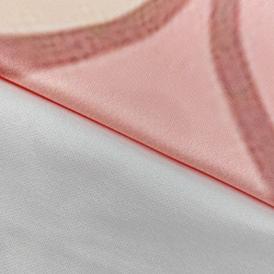Women's Cat Ear Hoodie With Bare Midriff