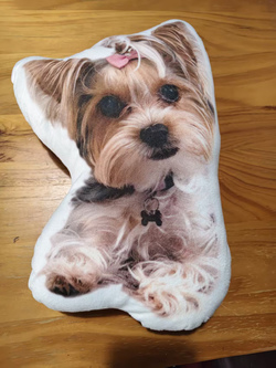 Custom Shaped Pillow 10" | Ships from USA